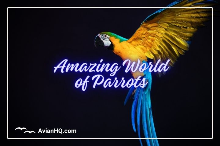 The Amazing World of Parrots: An In-Depth Look at the Psittaciformes Order
